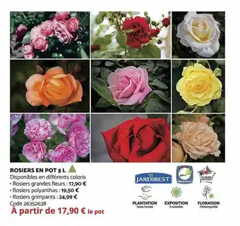 Bricomarché Rosiers en pot 5 l jardibest offre