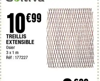 La Foir'Fouille Treillis extensible offre