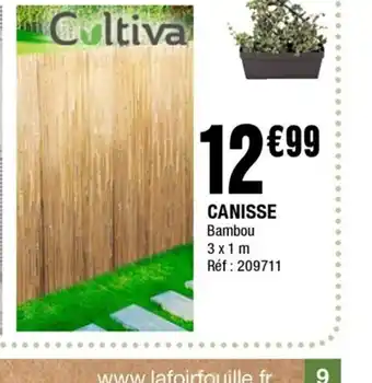 Canisse