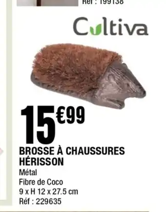 La Foir'Fouille Brosse a chaussures herisson offre