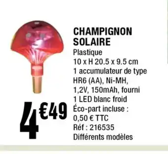 La Foir'Fouille Champignon Solaire offre