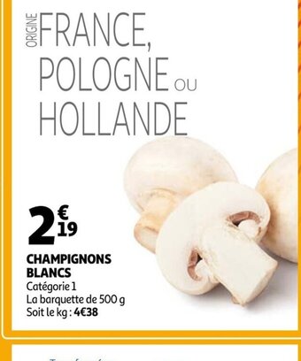 Auchan Champignons Blancs offre
