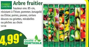 Arbre Fruitier