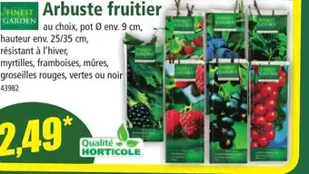Norma Arbuste Fruitier offre