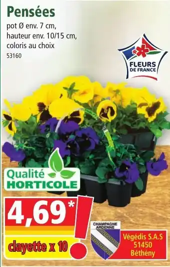 Norma Pensées offre