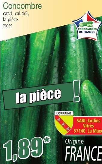 Norma Concombre offre
