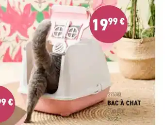 Bac à Chat