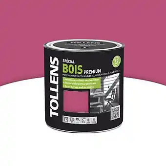 Castorama Peinture bois extérieure rose framboise satin 500 ml offre