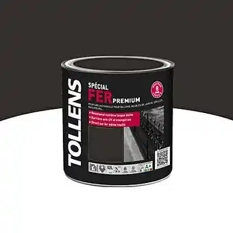 Castorama Peinture fer extérieur/intérieur fève de cacao tollens 0,5l offre