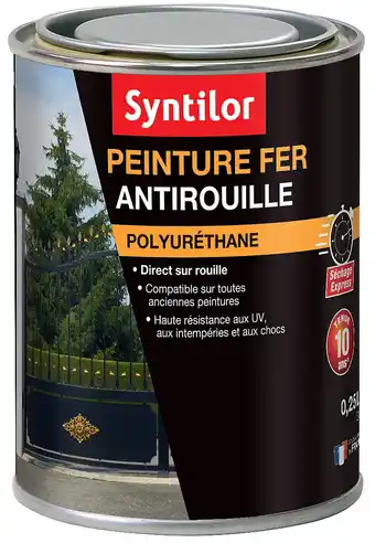 Castorama Peinture fer syntilor ultra protect rouge basque 0,25l offre