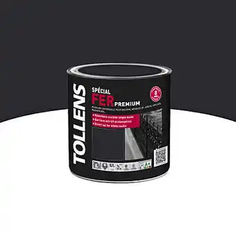 Castorama Peinture fer extérieur/intérieur fève de cacao tollens 0,25l offre