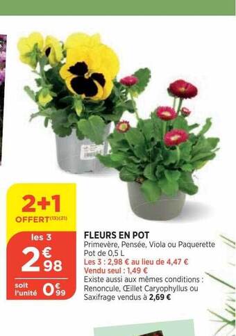 Bi1 Fleurs en pot offre