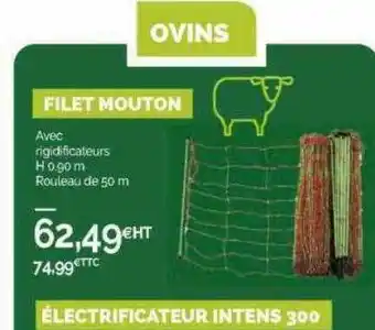 Point Vert Filet mouton offre