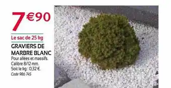 RAGT Jardin & Maison Graviers de marbre blanc offre