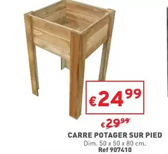 Trafic Carré potager sur pied offre