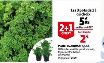 Auchan Plantes aromatiques offre