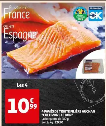 Auchan 4 pavés de truite filière auchan offre