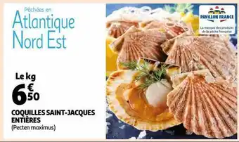 Auchan Coquilles saint-jacques entières offre