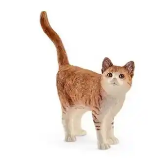 Chat