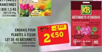 E.Leclerc Engrais Pour Plantes A Fleur Lot De 40 batonnets offre