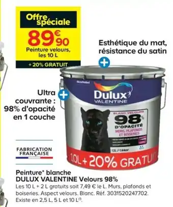 Castorama Peinture velours offre