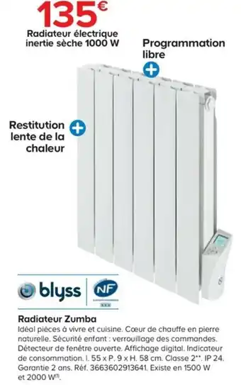 Castorama Radiateur zumba offre