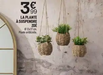 Centrakor La Plante à Suspendre Zoé offre