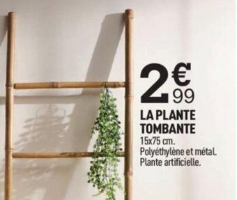 Centrakor La Plante Tombante offre