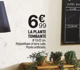 Centrakor La Plante Tombante offre
