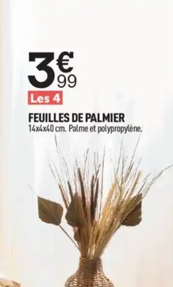 Centrakor Feuilles de Palmier offre