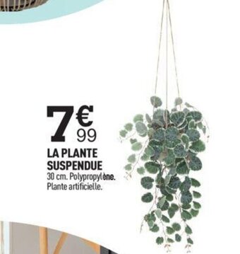 Centrakor La Plante Suspendue offre