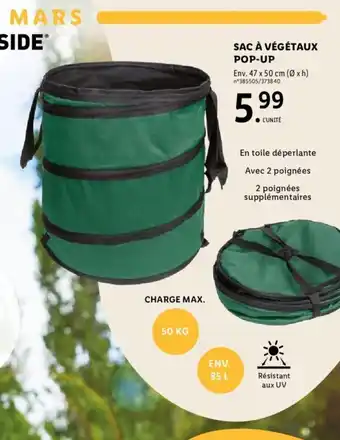 Lidl Sac a Vegetaux Pop-Up offre