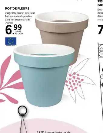 Lidl Pot de Fleurs offre
