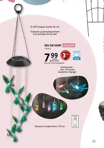 Lidl Jeu de Vent offre