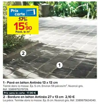 Pavé en Béton Antinea 13x13 cm