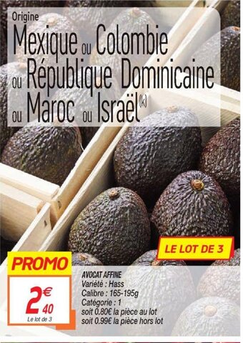 Netto Avocat affiné offre