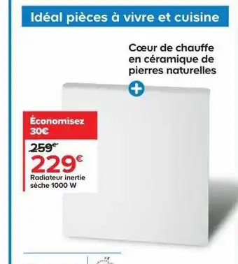 Castorama Radiateur inertie sèche 1000 w offre