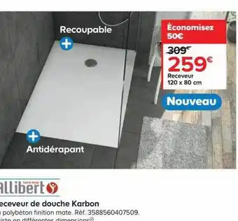 Castorama Receveur de douche karbon offre