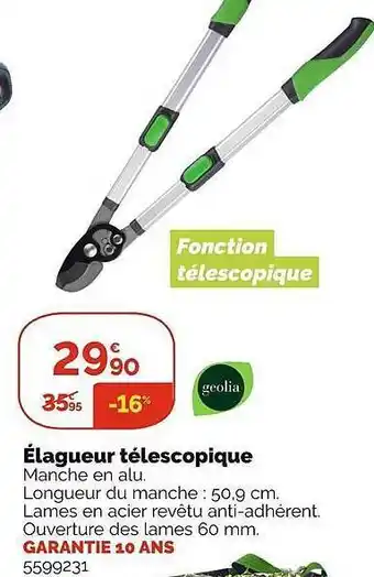 Élagueur télescopique geolia