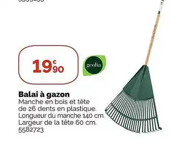 Balai Ă gazon geolia