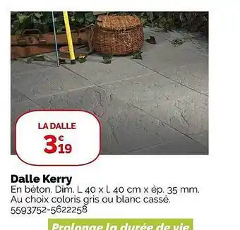 Weldom Dalle kerry offre