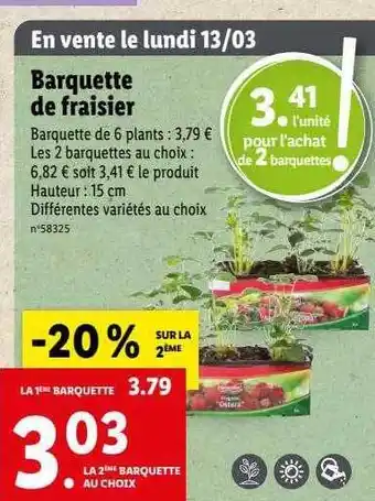 Barquette de fraisier