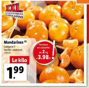 Lidl Mandarines offre