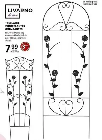 Lidl Treillage pour plantes grimpantes livarno home offre