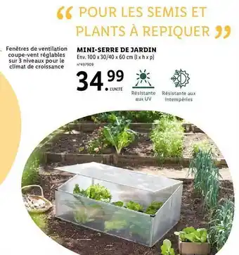 Lidl Mini-serre de jardin offre