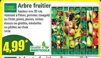 Norma Arbre fruitier finest garden offre