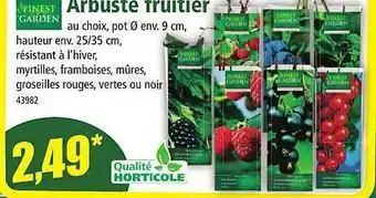 Norma Arbuste fruitier finest garden offre