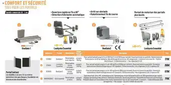Portail battant
