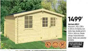 Bricorama Abri bois amely offre