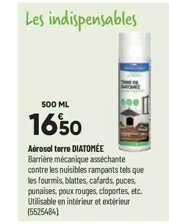 Bricorama Aérosol terre diatomée offre